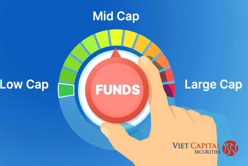 Tại sao lại là cổ phiếu Midcap? Đặc điểm khiến Midcap luôn có sức hút với nhà đầu tư?