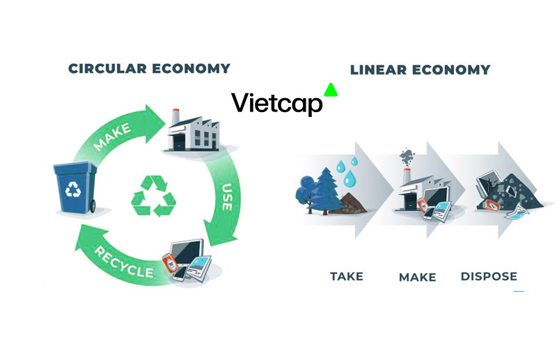 Kinh tế tuyến tính (Linear Economy) là gì?