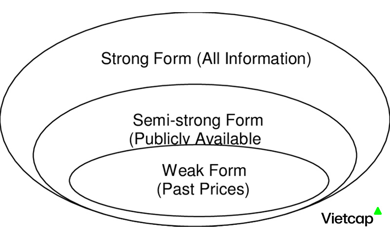 Thị trường hiệu quả (Efficient market) trong chứng khoán là gì?