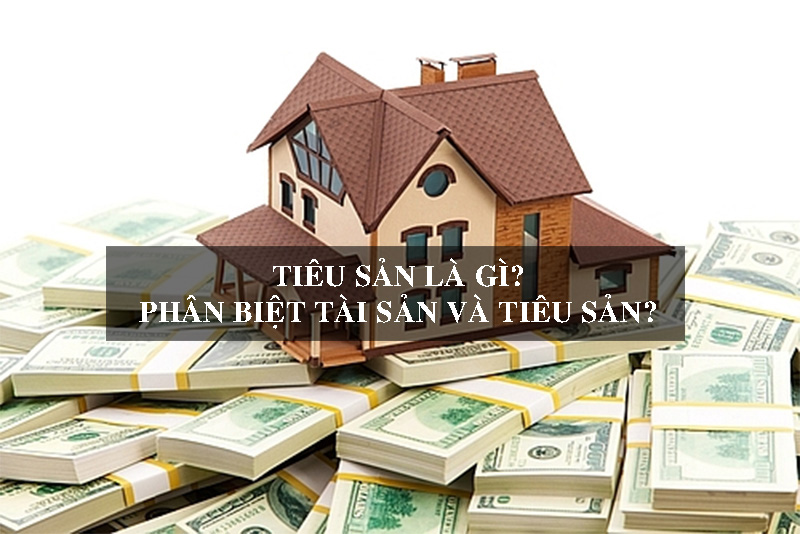 Tiêu sản là gì? Phân biệt tài sản và tiêu sản? Sự khác biệt?